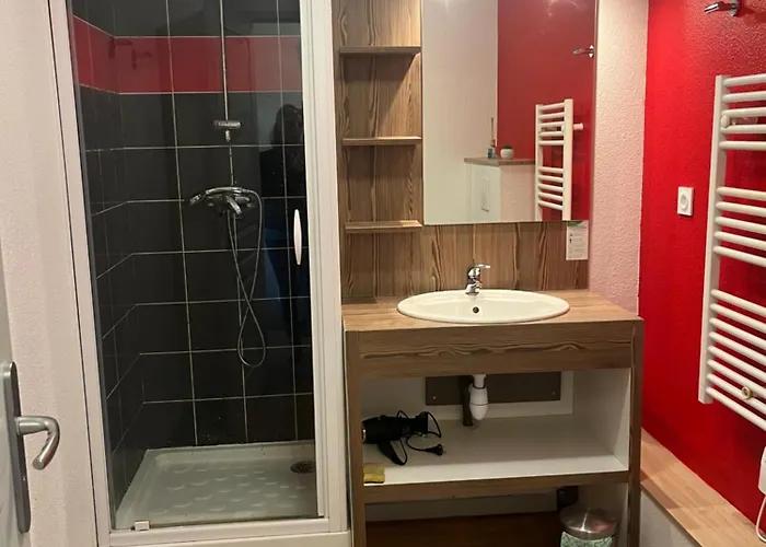 Appartement L'oursblanc Les Deux Alpes