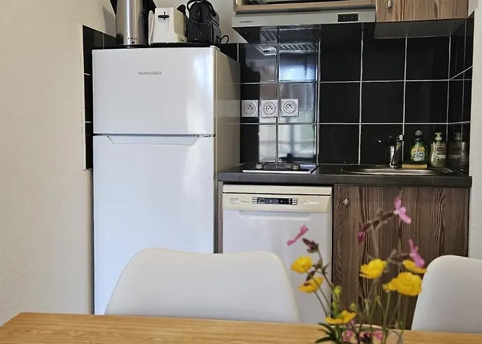 L'oursblanc * Les Deux Alpes